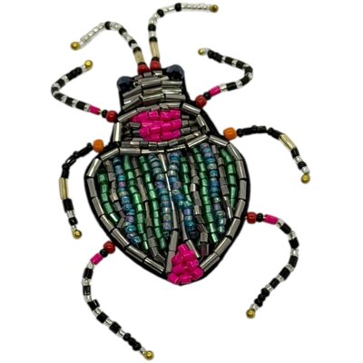 0 Brooch rintaneula Bug