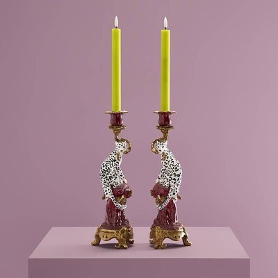 0 Leopardikynttilänjalka, kahden setti