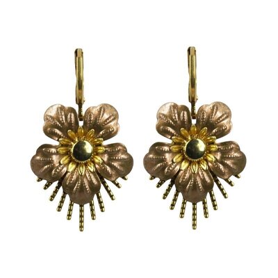 0 RAIO Gold korvakorut