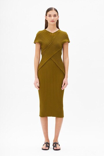 0 Seashells top olive