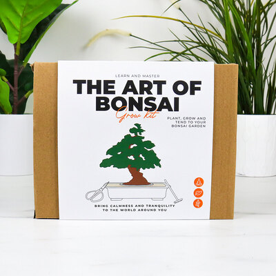 0 the Art of bonsai - Bonsai-puun kasvatussetti