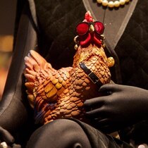 0 Crazy Chicken-Kreisi Kana