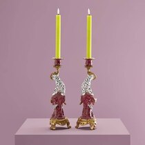 0 Leopardikynttilänjalka, kahden setti