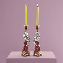 0 Leopardikynttilänjalka, kahden setti