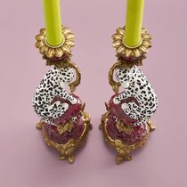 0 Leopardikynttilänjalka, kahden setti