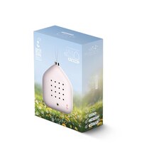 0 Lily Bells rosebird 