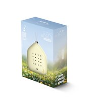 0 Lily bells sunwing