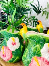 0 Parrot Vase/pitcher-papukaija-maljakko/kannu