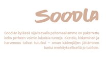 0 Soodla koukkukorvakorut/hook earrings