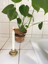 0 Spectacula kynttilänjalka lasi/candle holder glass dried tobacco