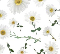 Ale0 Bailey Dress White